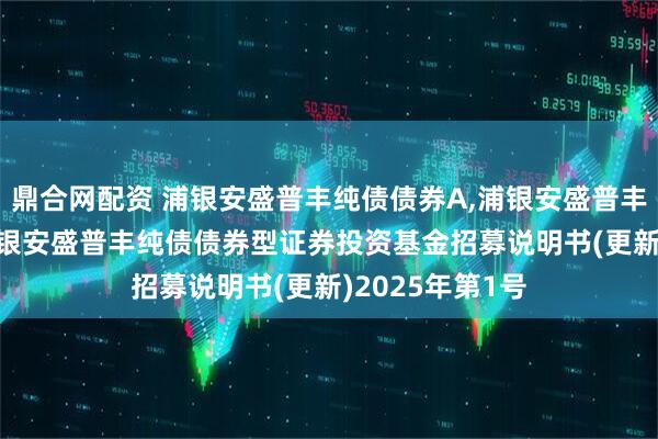 鼎合网配资 浦银安盛普丰纯债债券A,浦银安盛普丰纯债债券C: 浦银安盛普丰纯债债券型证券投资基金招募说明书(更新)2025年第1号
