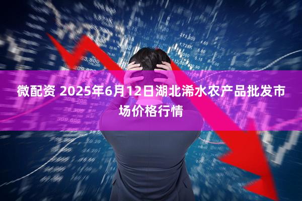 微配资 2025年6月12日湖北浠水农产品批发市场价格行情