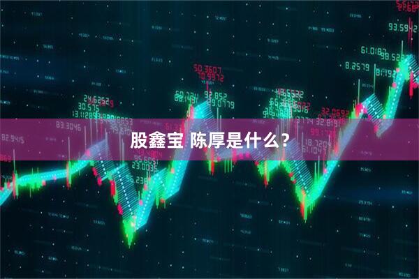 股鑫宝 陈厚是什么？